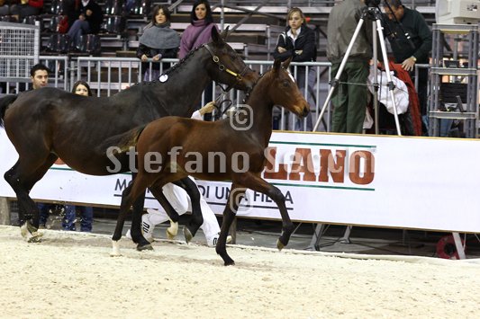 PAN CARRE_MILANO_2010_SS3_8361.jpg